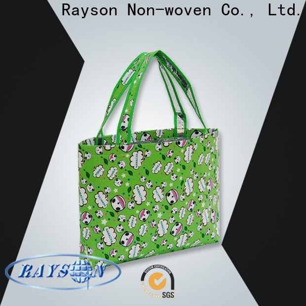 rayson nonwoven Rayson Wholesale high quality polyester spunbond fabric manufacturer