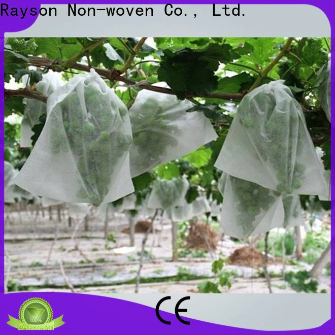 rayson nonwoven freeze cloth for plants factory