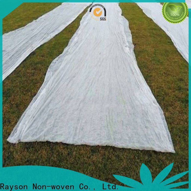 Rayson Bulk Compre una compañía de tela de paisaje de 12 pies de ancho de alta calidad