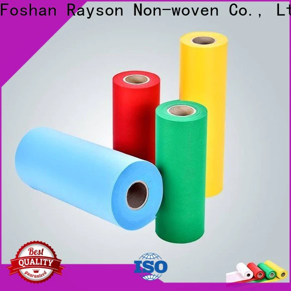 rayson nonwoven 20 gsm polypropylene factory