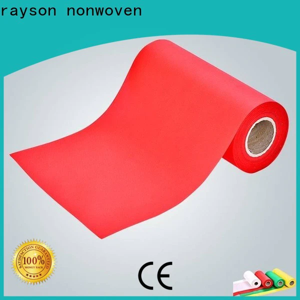 Rayson ODM high quality spunbond nonwoven fabric supplier