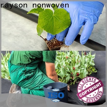 Rayson Nonwoven Rayson Bulk Compra Hoja de malezas OEM para Garden Company