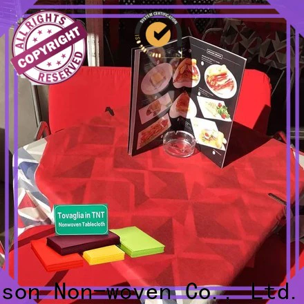 rayson nonwoven disposable picnic table cloth company