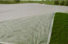 product-High Grade Pp Spun Bond Non Woven Tnt Fabric Gardening Weed Control Fabric Biodegradable-ray