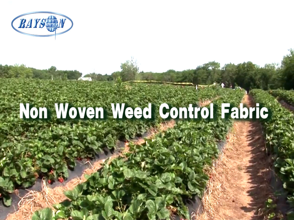 Heavy duty PP spunbond non woven weed control fabric