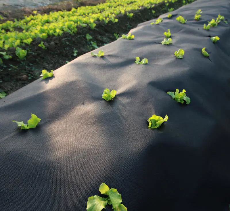 Weed control barrier mat in roll fabric/High Quality Black Nonwoven Landcape  In Rolls