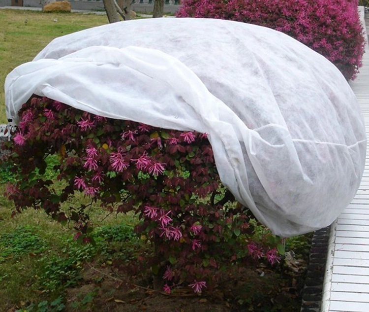 product-Super Wide Greenhouse Agriculture Non Woven Fabric-rayson nonwoven-img-3