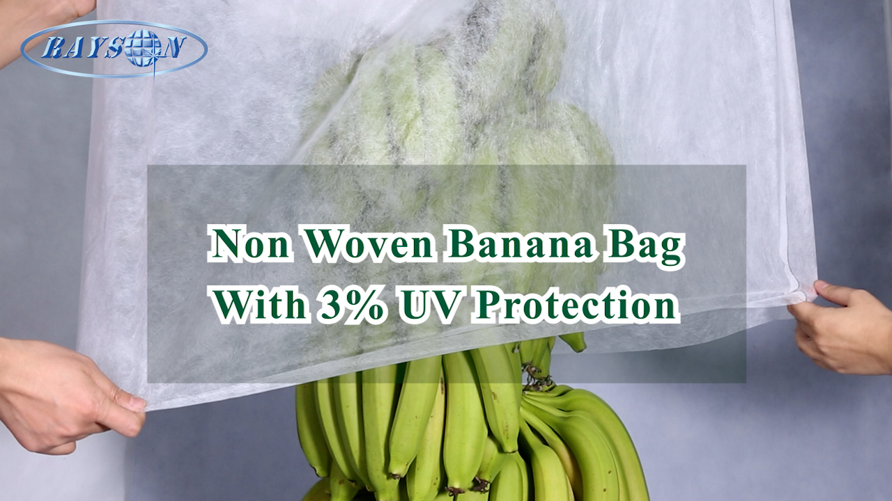 product-rayson nonwoven-PP Non Woven Fabric Fruit Tomato Banana Bunch Cover Garden Plant Protection -2