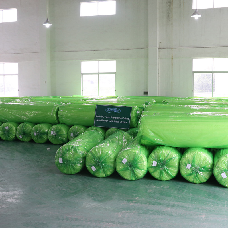 video-Factory price agricultural non woven crop cover with 3 UV-rayson nonwoven-img-1