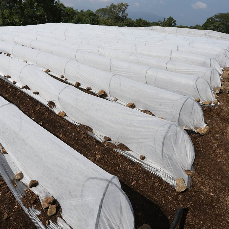 Factory price light weight 100% virign non woven floating row cover for vegetables