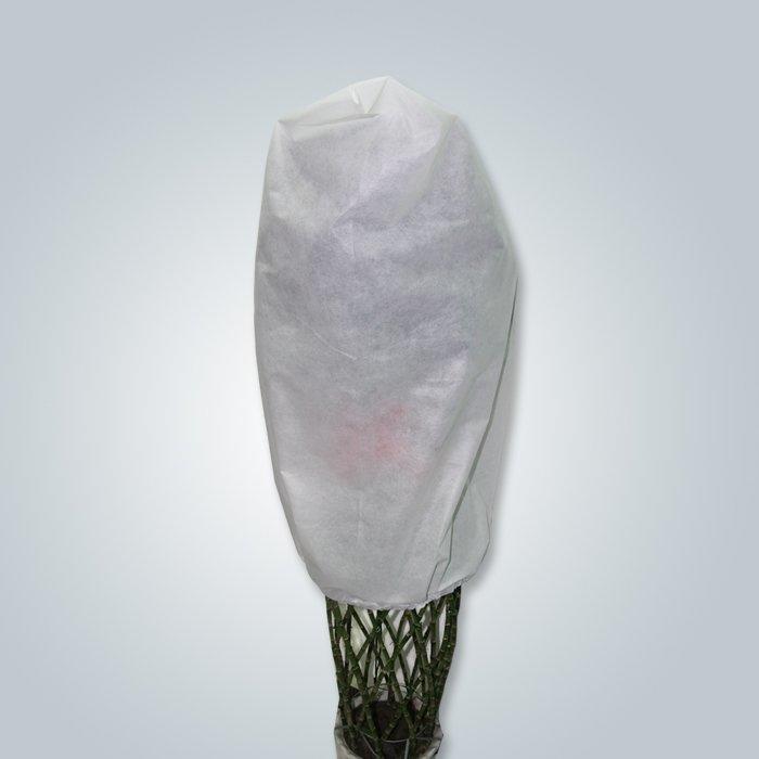 rayson nonwoven,ruixin,enviro-Find Best Landscape Fabric To Prevent Weeds best Landscape Fabric For