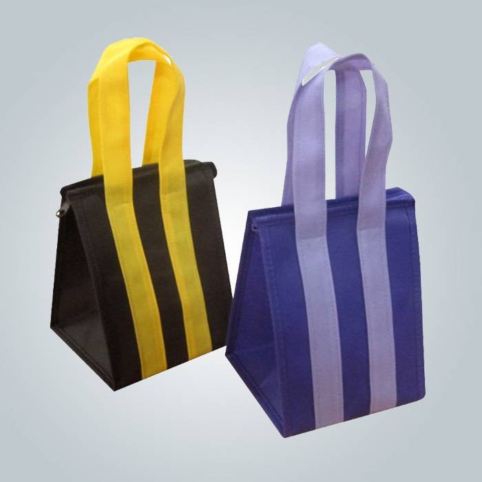 Custom Eco Promotional Long Handle PP non woven bag with zipper