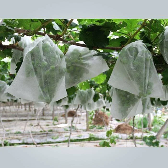 product-rayson nonwoven-White Color Permeable Non Woven Friut Cover For Grape Banana Protection-im-2
