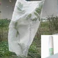 3% UV Sunlight Permeability Non Woven Fabric Plant Coverings With SGS certificate