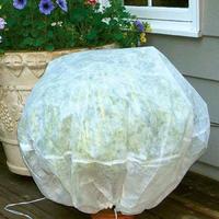 Tear Resistant Spun Bonded Non Woven Plant Cover for Agriculture and Landscape Use