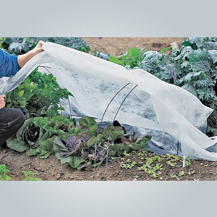 Tear resistant agricultural frost protection fabric with 3% anti-UV