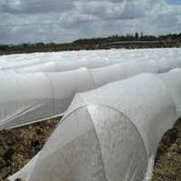 pp non woven fabric macro tunnel for crop protection