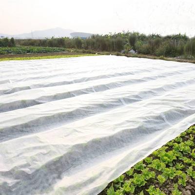 China Manufacturer Spunbond Agriculture Nonwoven Use in Saudi
