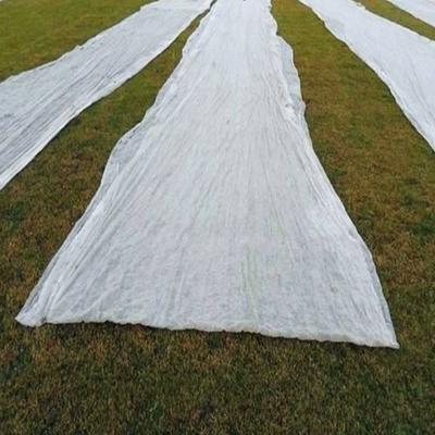 Agriculture Nonwoven Fabric Made Frost Protection Splicing Plant Cover