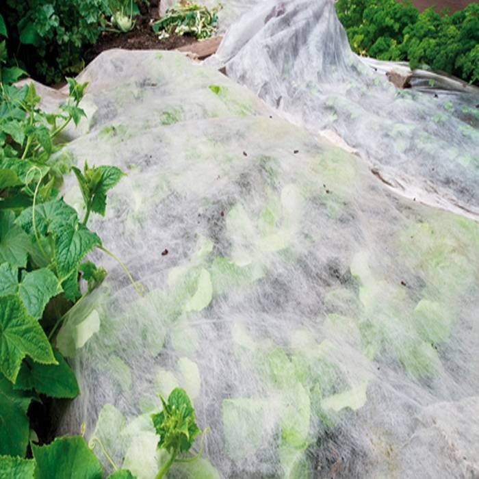 2% UV Resistant Agriculture Non Woven Fabric 100% PP Spunbond Plain Style