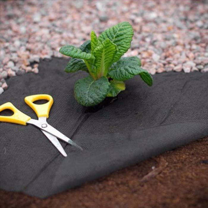 Black Garden Weed Control Fabric For MaintainTemperature To Benefit Healthy Growth