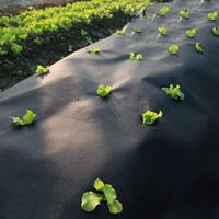 Black Air Permearble PP Nonwoven Fabric Agriculture Cover / Ground Protection Mat