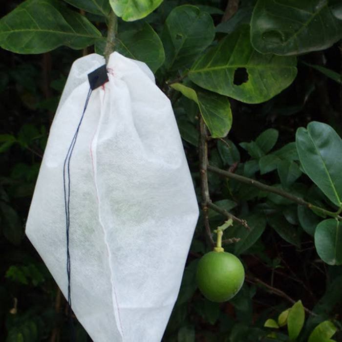 OEM Disposable Nonwoven Fruit Protection Bag For Agriculture