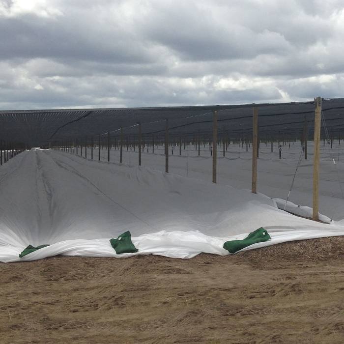 product-rayson nonwoven-45m Extra Wide Width Spunbond Nonwoven For Revegetation And Farm Forestry-im-2