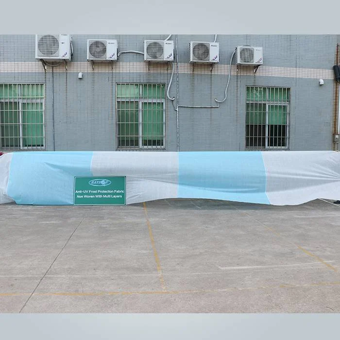 product-rayson nonwoven-Breathable spunbond anti frost fleece non woven plant cover-img-2