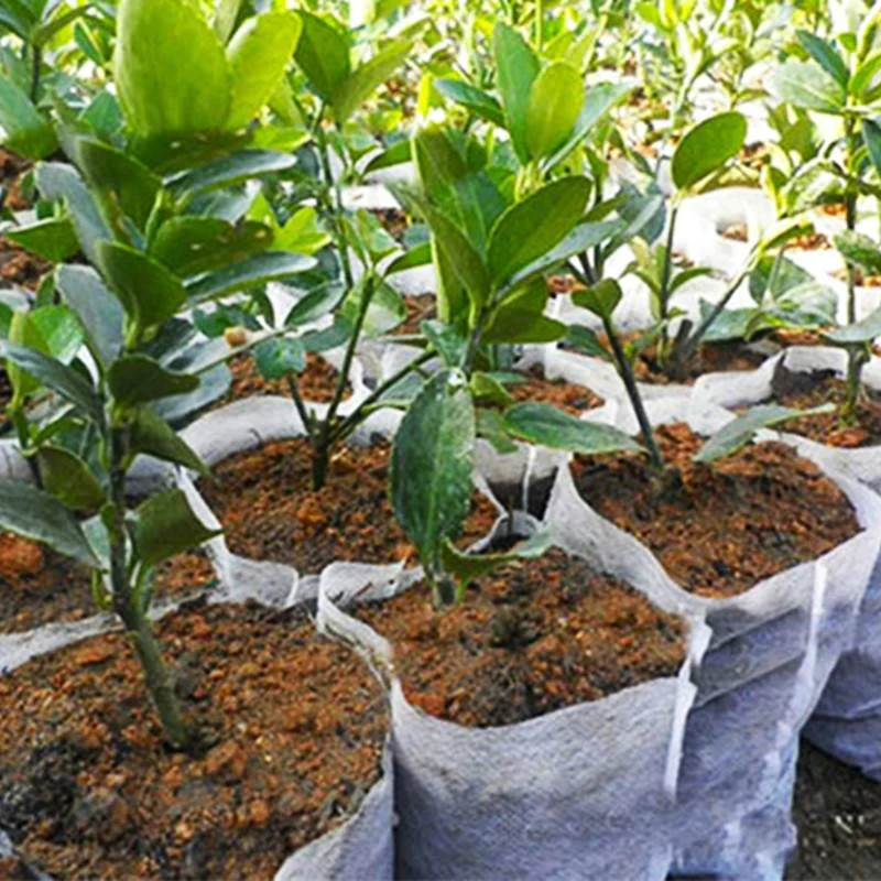 product-rayson nonwoven-Agricultral Non Woven Fabric Plant Pot-img-2