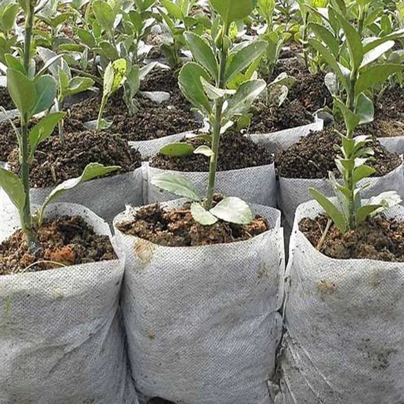 Agricultural Non Woven PP Planting Bags