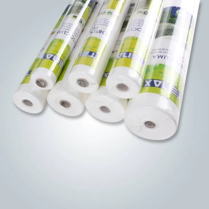 product-rayson nonwoven-Horticulture PP non woven winter frost protection fleece-img-2