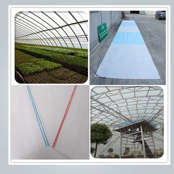 Spunbond non woven UV treated crop row cover