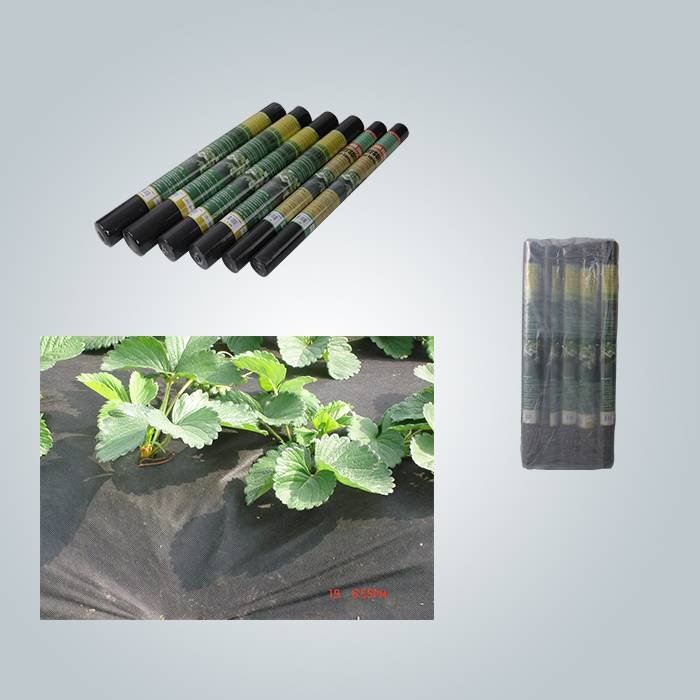product-rayson nonwoven-Chemical free non woven weed control landscape fabric supplier-img-2