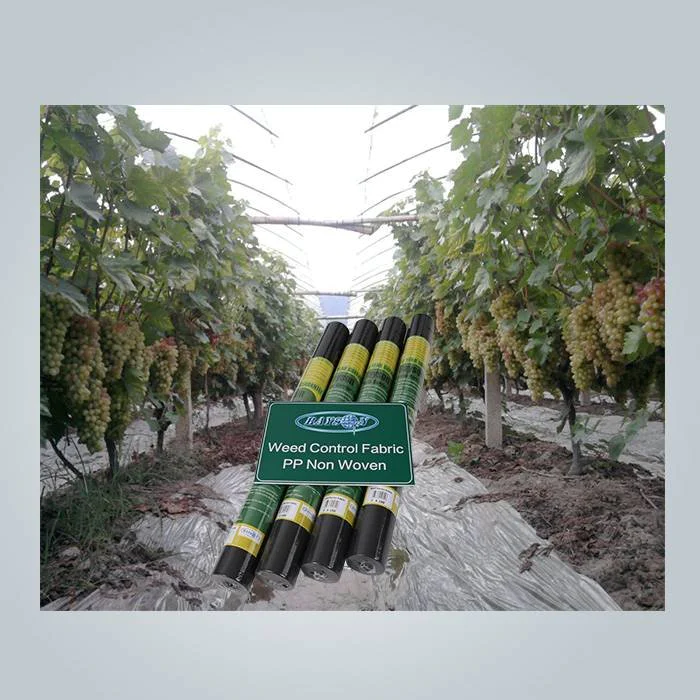 Roll pack weed control fabric
