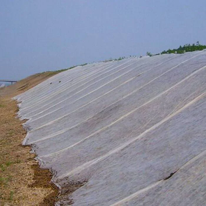 product-rayson nonwoven-3 UV resistant agriculture nonwoven fabric for massive coverage and protecti-2