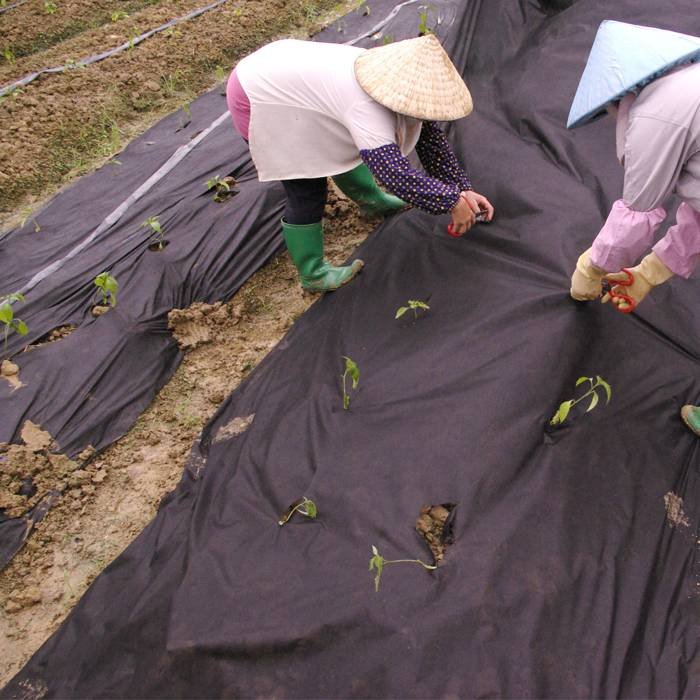 product-rayson nonwoven-Raw PP Material Weed Control Mats With Anti Ages For Landscaping-img-2