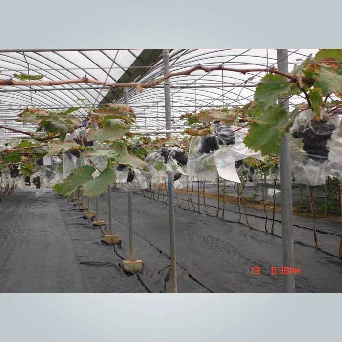 Anti UV recycled pp non woven weed control fabric