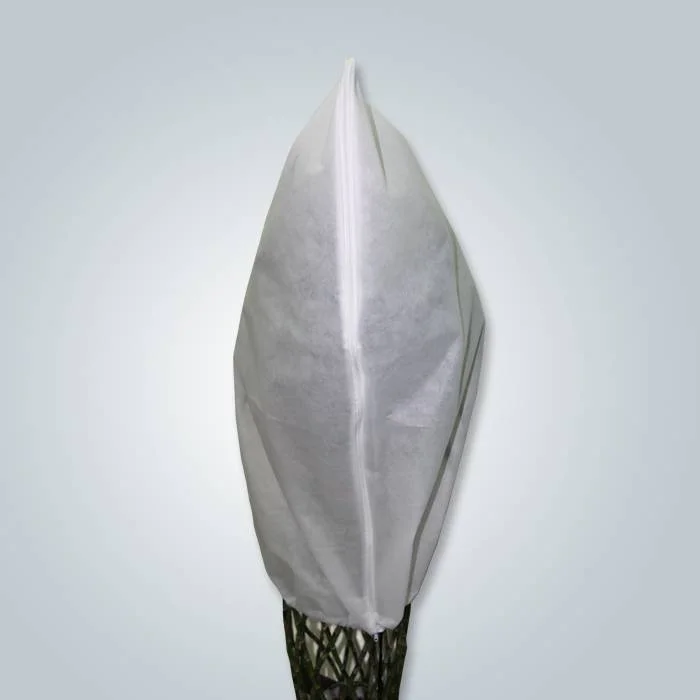 product-rayson nonwoven-Nonwoven Planting Covers-img-2