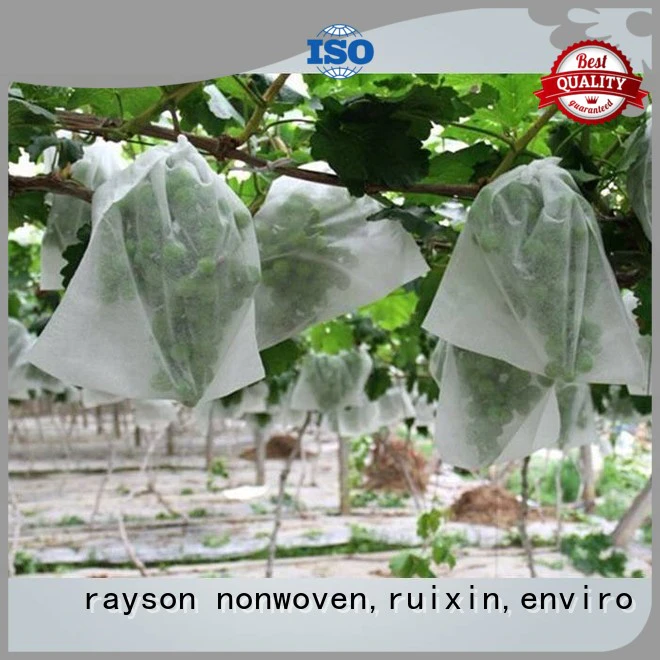 oem fabric for weeds professional rayson nonwoven,ruixin,enviro company