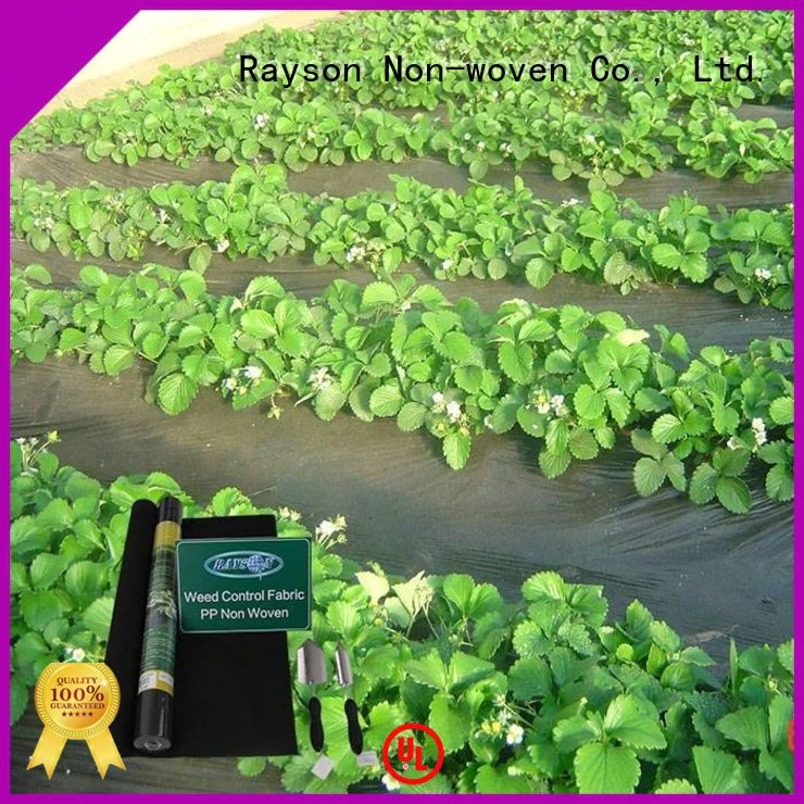 covers seed healthy rayson nonwoven,ruixin,enviro Brand 30 year landscape fabric supplier