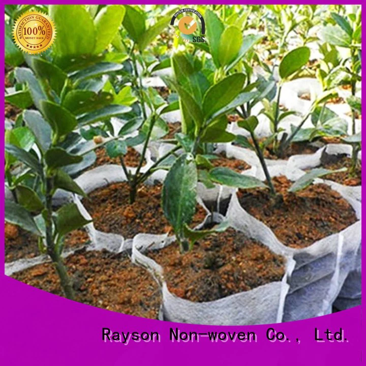 Quality rayson nonwoven,ruixin,enviro Brand fabric for weeds fabric sgs