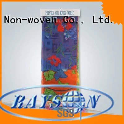 rayson nonwoven,ruixin,enviro Brand fabirc personalized pp non woven fabric manufacturer textile