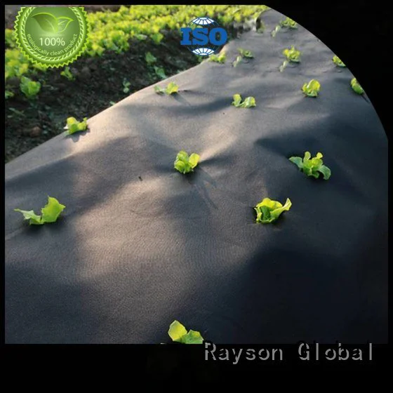 plant pp cage rayson nonwoven,ruixin,enviro 30 year landscape fabric