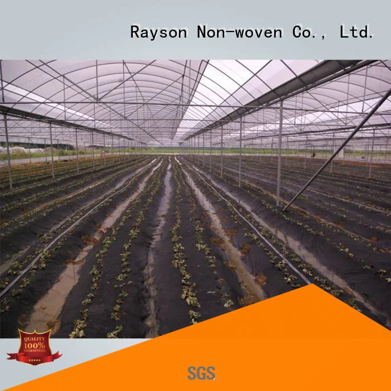 rayson nonwoven,ruixin,enviro Brand 50gr vegetableplant covers 30 year landscape fabric