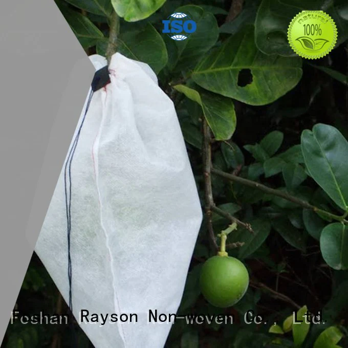Quality rayson nonwoven,ruixin,enviro Brand fabric for weeds white 60gr