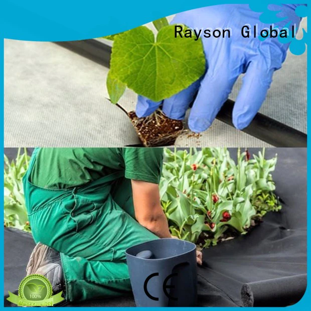rayson nonwoven,ruixin,enviro Brand saudi fabric benefit 30 year landscape fabric manufacture